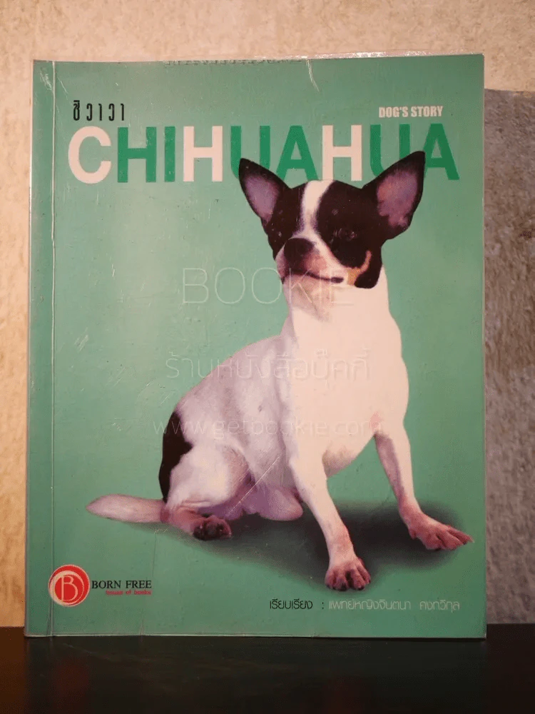 ชิวาวา Chihuahua - แพทย์หญิงจินตนา คงทวีกุล รูปที่ 1
