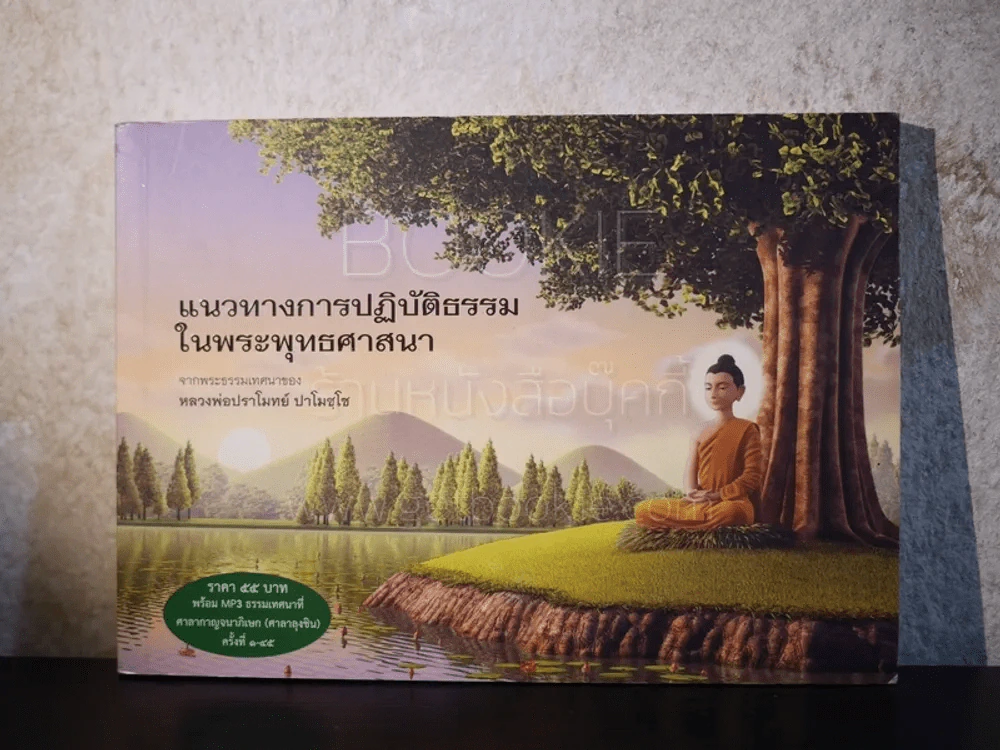 แนวทางการปฏิบัติธรรมในพระพุทธศาสนา - หลวงพ่อปราโมทย์ ปาโมชฺโช รูปที่ 2