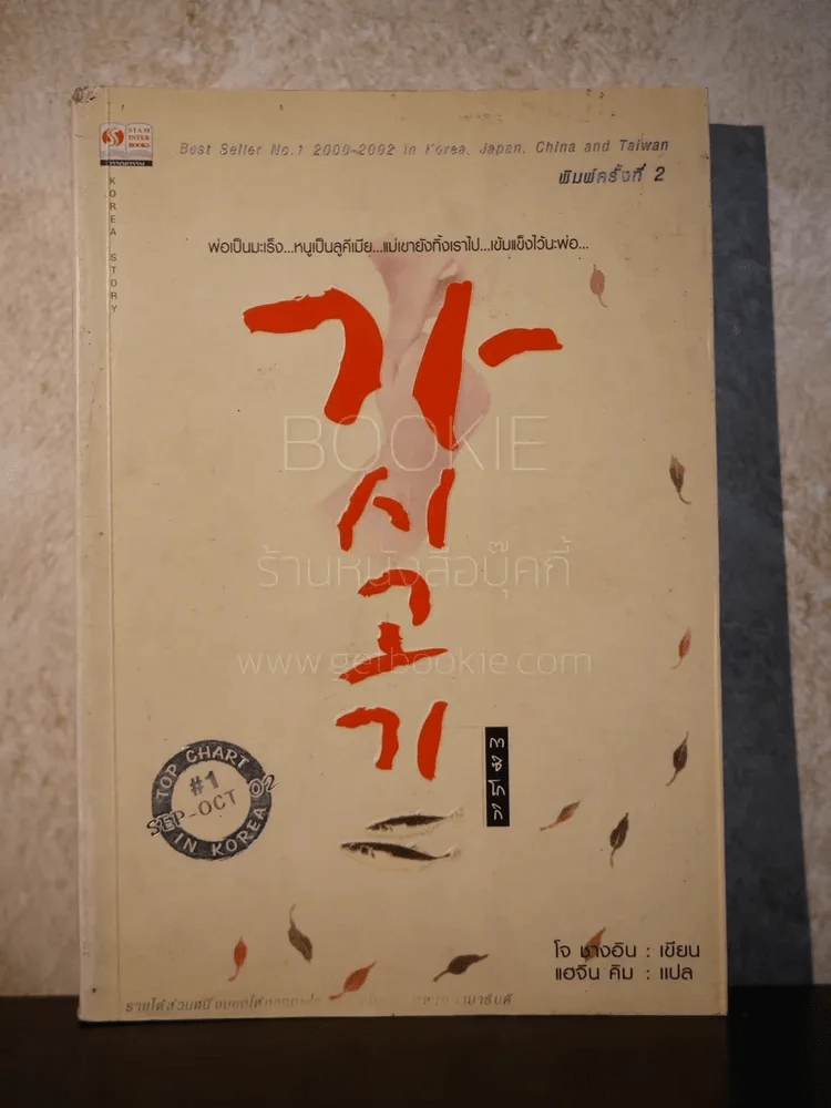 กาซิโกกิ (มุมมีรอยถลอก) รูปที่ 1