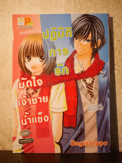 ปฏิบัติการรักมัดใจเจ้าชายน้ำแข็ง รูปที่ 1
