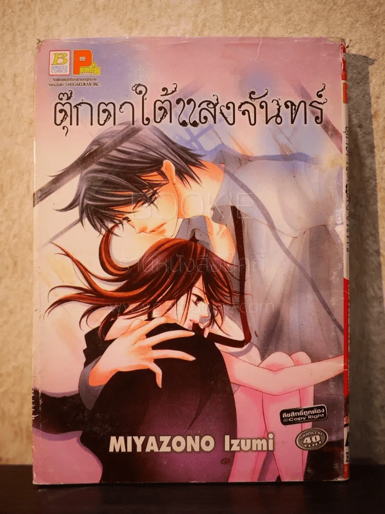 ตุ๊กตาใต้แสงจันทร์ รูปที่ 1