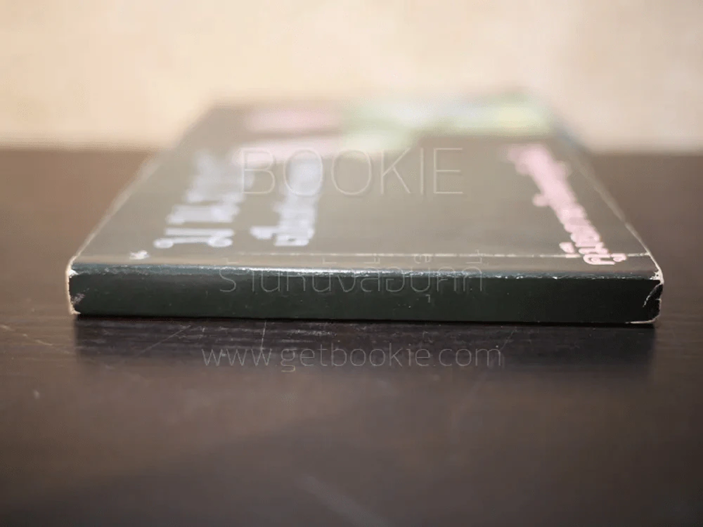มนงยว เป็นสาวชาวพม่า คู่มือภาษาไทยครูลิลลี่ เล่ม 2 รูปที่ 2