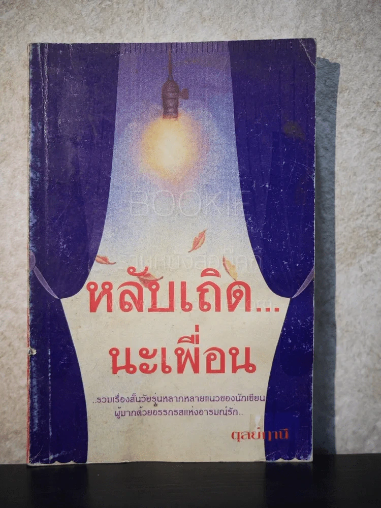 หลับเถิดนะเพื่อน - ตุลย์ฤานี รูปที่ 1