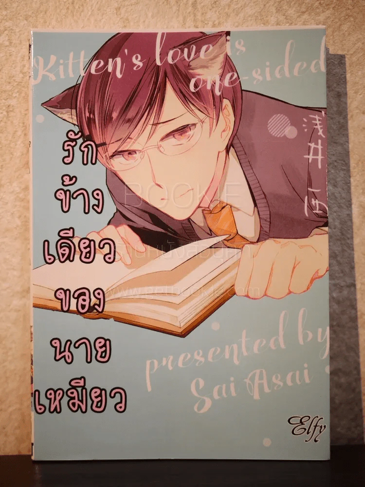 รักข้างเดียวของนายเหมียว (สภาพดี) รูปที่ 1
