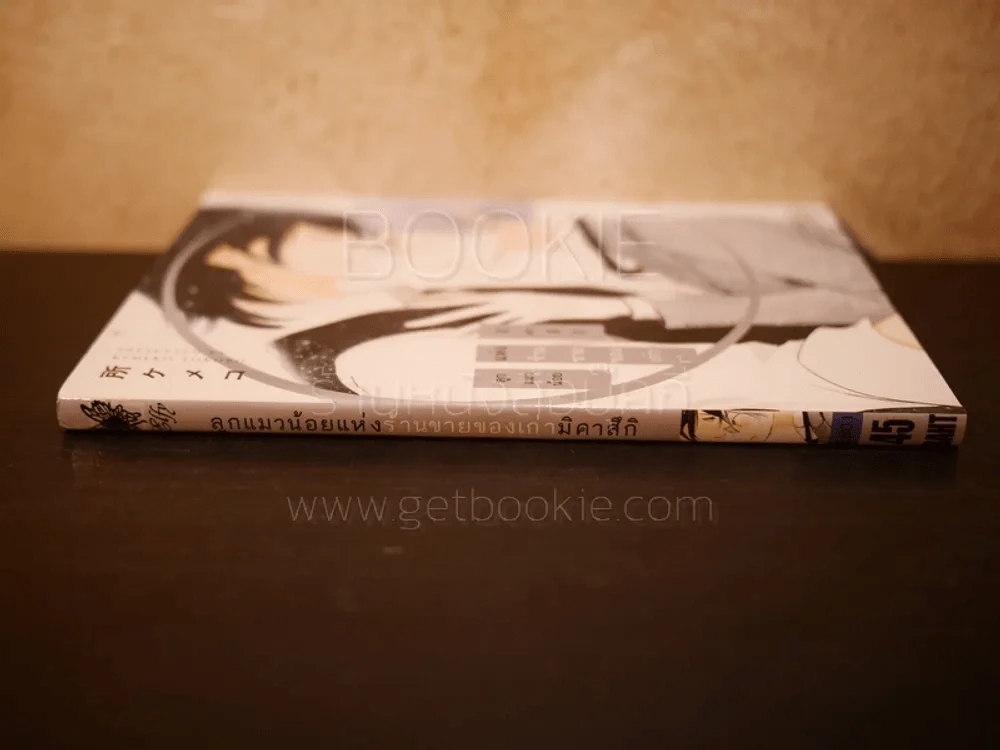 ลูกแมวน้อยแห่งร้านขายของเก่ามิคาสึกิ (สภาพดี) รูปที่ 2
