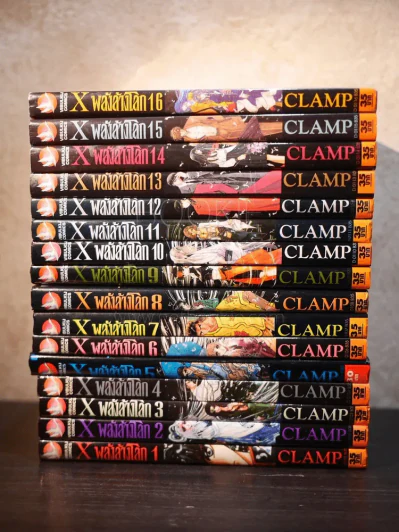 X พลังล้างโลก 16 เล่มจบ (CLAMP) รูปที่ 2