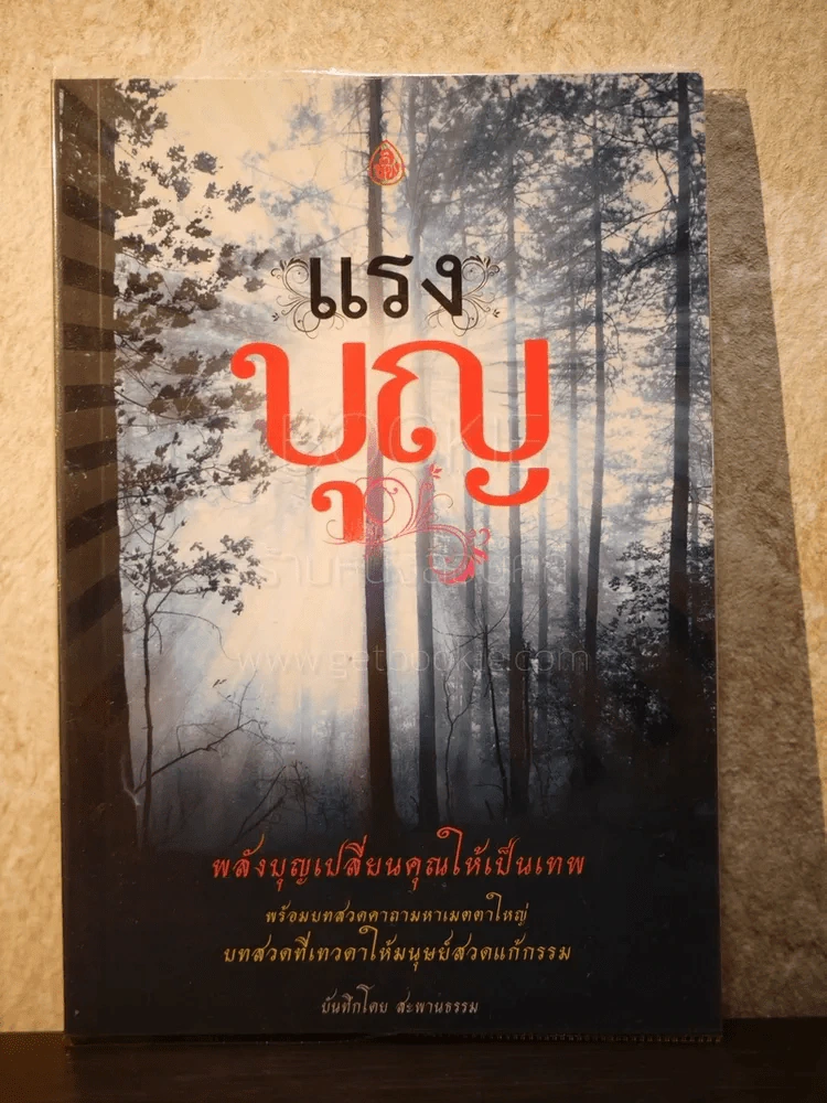 แรงบุญ - สะพานธรรม รูปที่ 1
