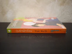 วุ่นรักพักร้อน True North รูปที่ 2