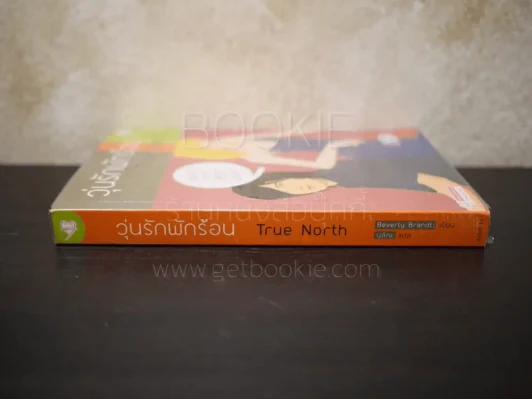 วุ่นรักพักร้อน True North รูปที่ 2