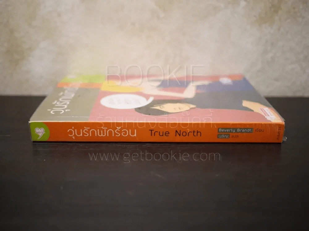 วุ่นรักพักร้อน True North รูปที่ 2