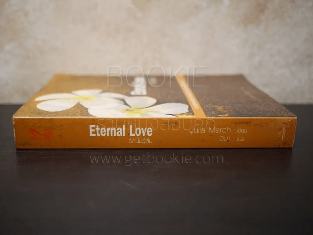 Eternal Love รักนี้มิรู้ลืม รูปที่ 2