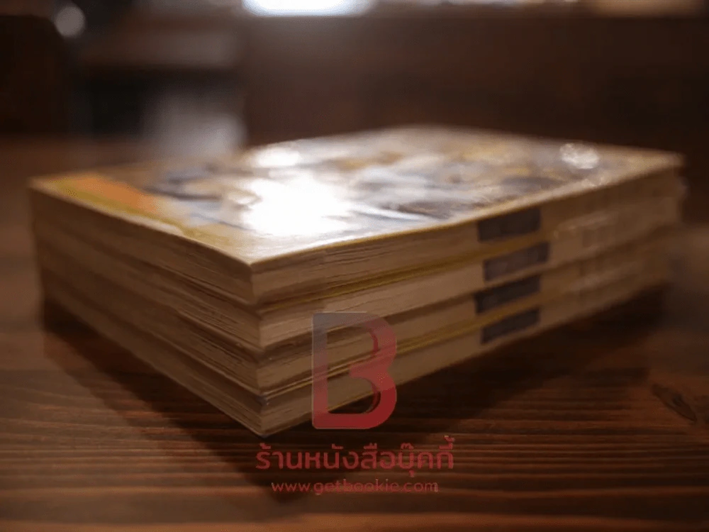 fanfan FACTORY ร้านนี้มีเวทมนต์ 4 เล่มจบ รูปที่ 4
