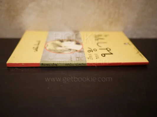 เรื่องของน้ำพุ - วงศ์เมือง นันทขว้าง รูปที่ 2