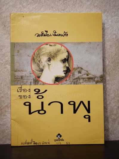 เรื่องของน้ำพุ - วงศ์เมือง นันทขว้าง รูปที่ 1