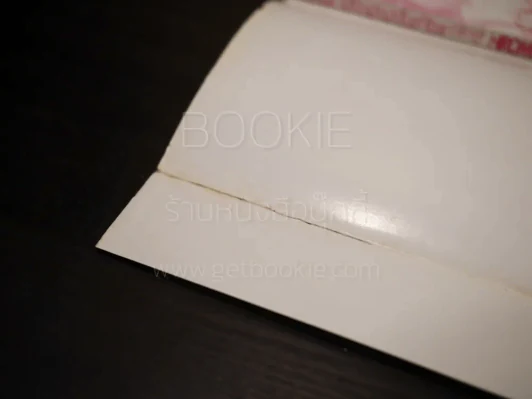 Triangle Door 3 สาว 3 มุม (ใบหุ้มปกมีรอยขาด) รูปที่ 3