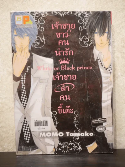 White or black prince เจ้าชายขาวคนน่ารักเจ้าชายดำคนขี้เต๊ะ รูปที่ 1
