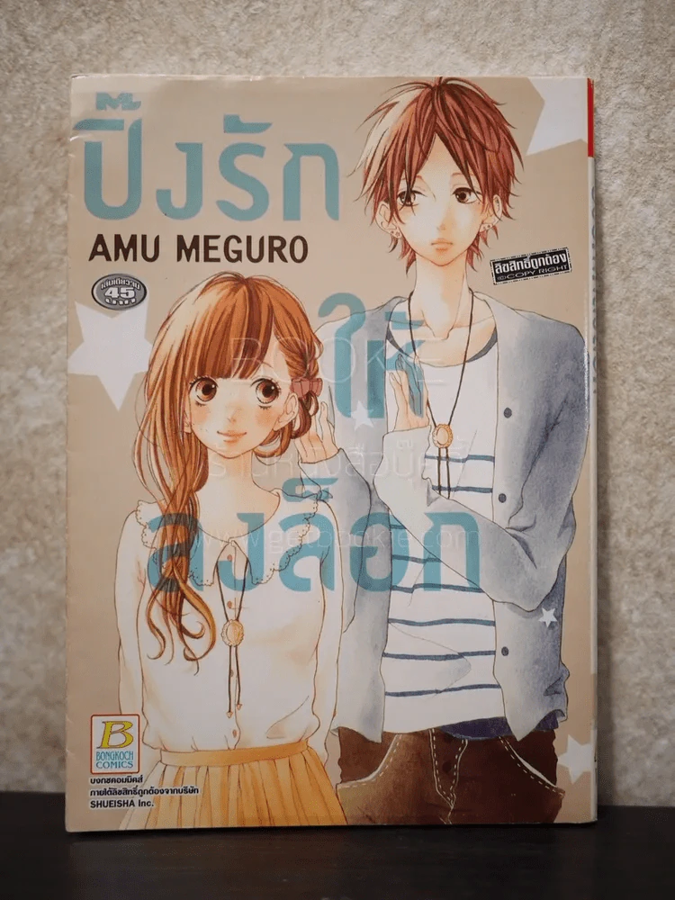 ปิ๊งรักให้ลงล็อก รูปที่ 1