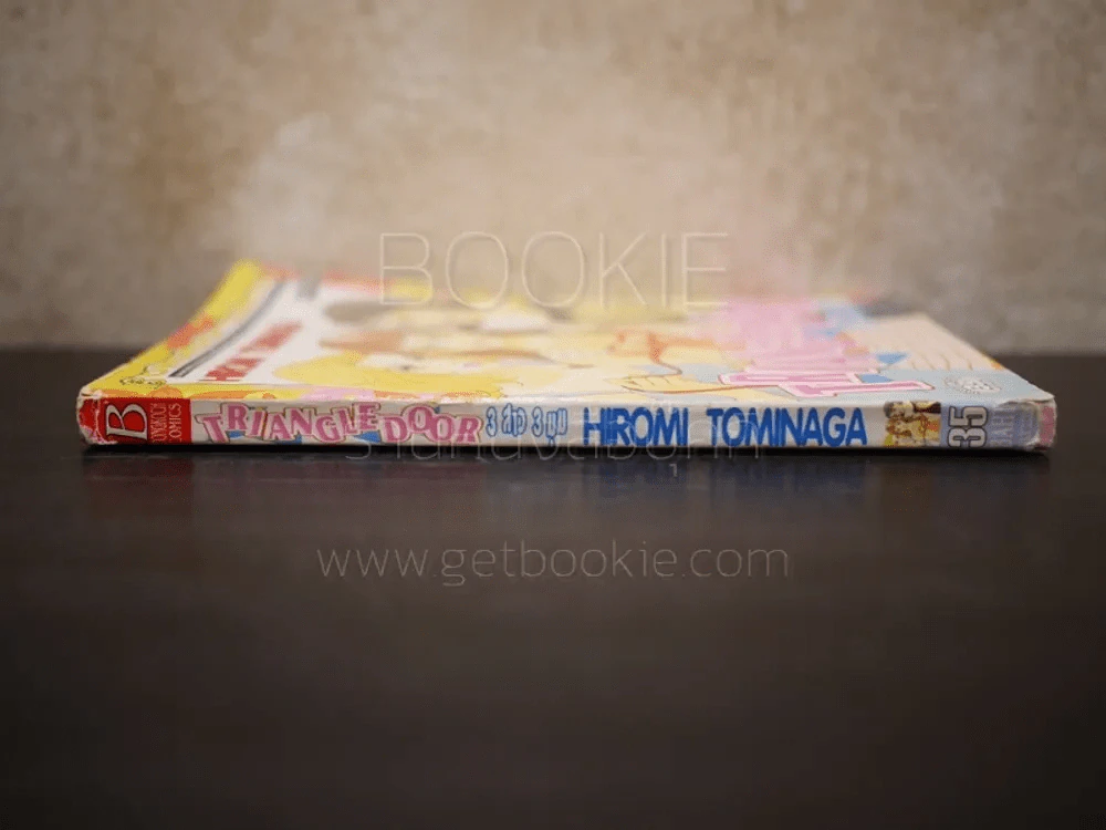 Triangle Door 3 สาว 3 มุม (ใบหุ้มปกมีรอยขาด) รูปที่ 2