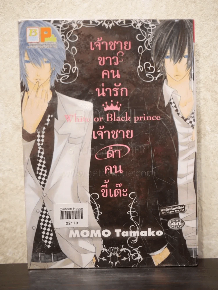 White or black prince เจ้าชายขาวคนน่ารักเจ้าชายดำคนขี้เต๊ะ รูปที่ 1