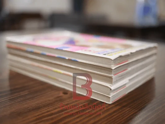 พลัส-วัน +1 5 เล่มจบ รูปที่ 3