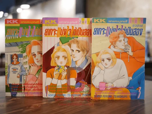 ยากจะแบ่งใจให้เป็นสอง 3 เล่มจบ รูปที่ 1