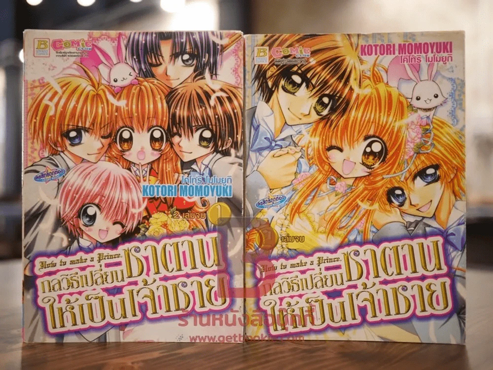กลวิธีเปลี่ยนซาตานให้เป็นเจ้าชาย 2 เล่มจบ รูปที่ 1
