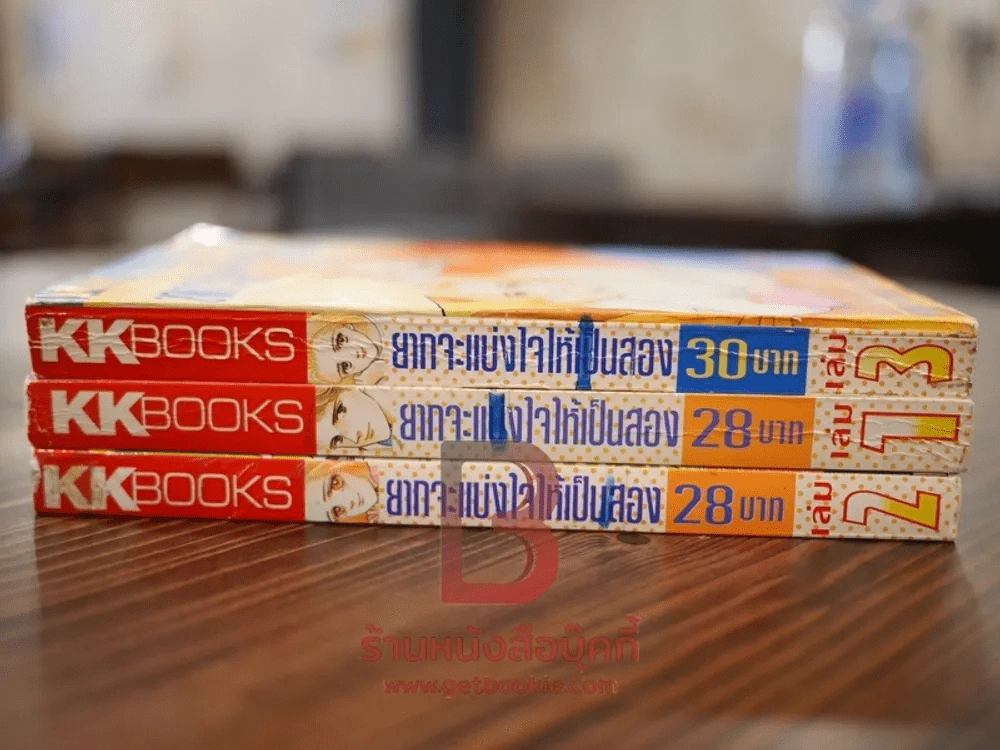ยากจะแบ่งใจให้เป็นสอง 3 เล่มจบ รูปที่ 2