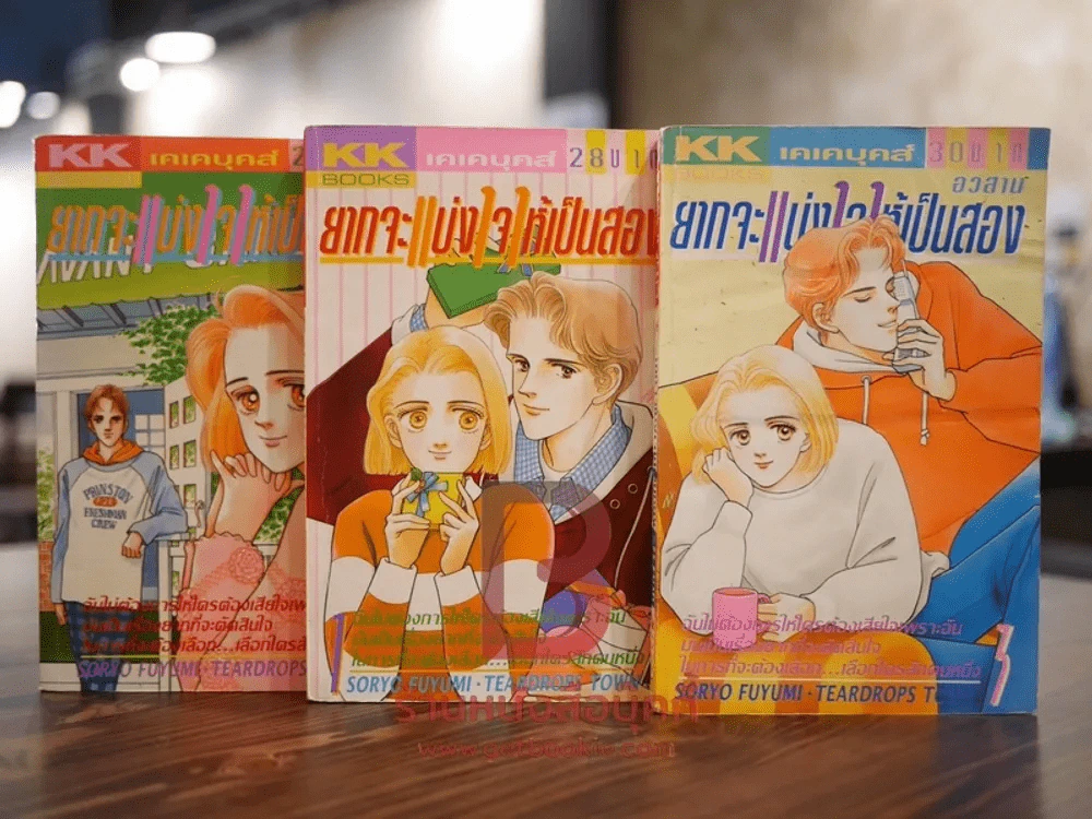 ยากจะแบ่งใจให้เป็นสอง 3 เล่มจบ รูปที่ 1