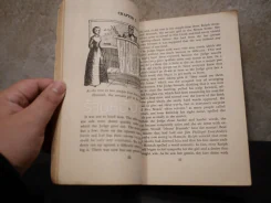 The Hoosier Schoolmaster รูปที่ 3