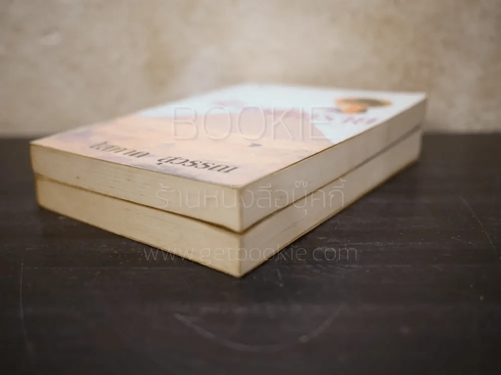 ฟ้าจรดทราย 2 เล่มจบ - โสภาค สุวรรณ รูปที่ 4