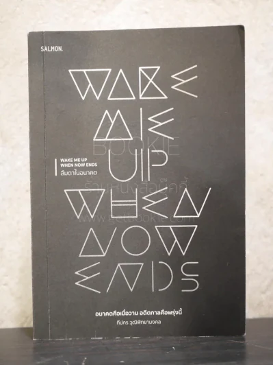 Wake Me Up When Now Ends ลืมตาในอนาตต - ทีปกร วุฒิพิทยามงคล รูปที่ 1