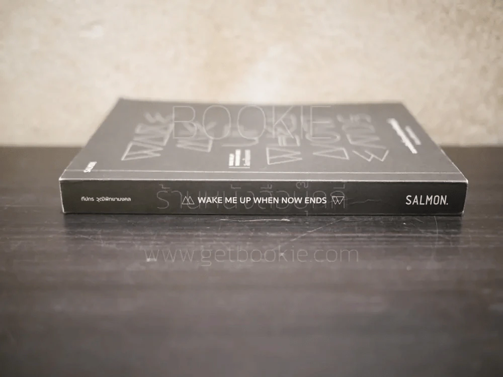 Wake Me Up When Now Ends ลืมตาในอนาตต - ทีปกร วุฒิพิทยามงคล รูปที่ 2