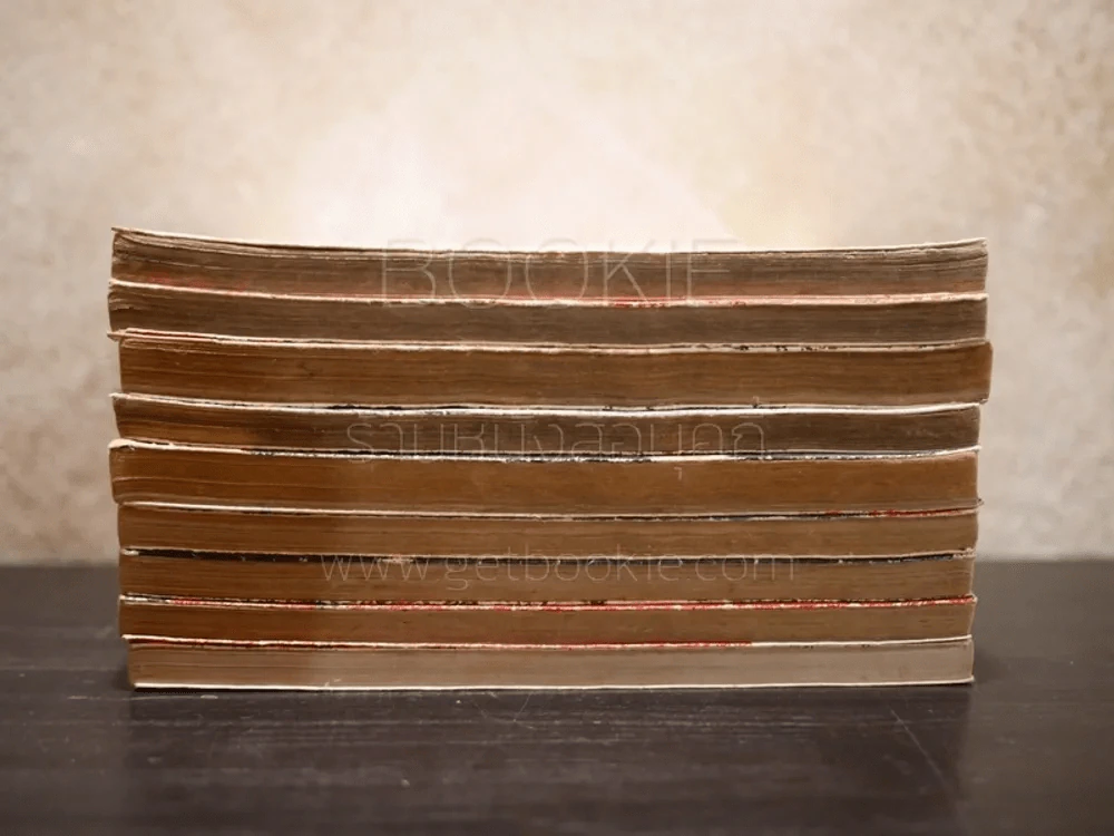 มาเฟียที่รัก 9 เล่มจบ รูปที่ 3