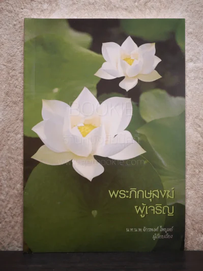 พระภิกษุสงฆ์ผู้เจริญ - น.ท.น.พ.จักรพงศ์ ไพบูลย์ รูปที่ 1