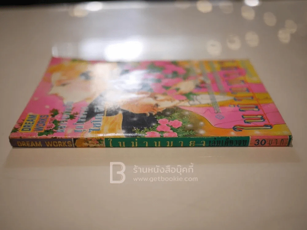 ในม่านมายา - ไซโต จิโฮ รูปที่ 2