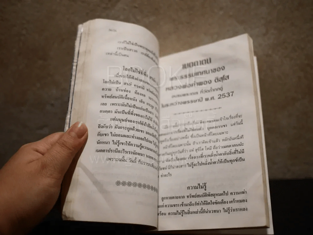 หลวงพ่อคำพอง ติสฺโส (สภาพบวมน้ำ) รูปที่ 4