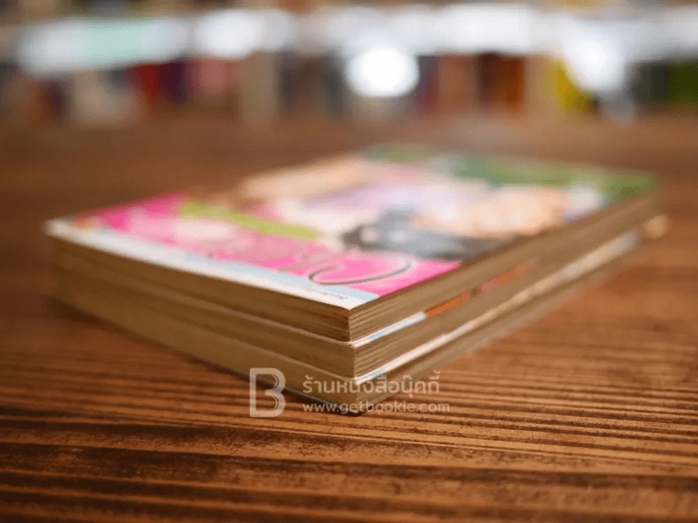 Chat รัก หนุ่มรถไฟ 3 เล่มจบ รูปที่ 4