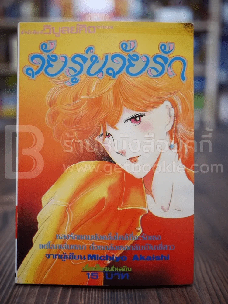 วัยรุ่นวัยรัก เล่มเดียวจบ รูปที่ 1