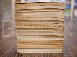นักสู้คอมพิวเตอร์ 20 เล่มจบ รูปที่ 6