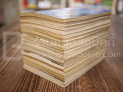 นักสู้คอมพิวเตอร์ 20 เล่มจบ รูปที่ 4