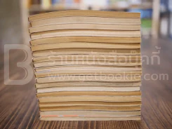 นักสู้คอมพิวเตอร์ 20 เล่มจบ รูปที่ 7