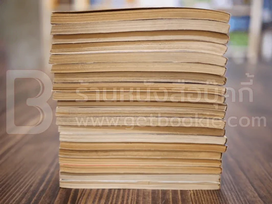 นักสู้คอมพิวเตอร์ 20 เล่มจบ รูปที่ 6