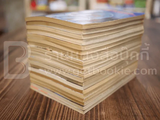 นักสู้คอมพิวเตอร์ 20 เล่มจบ รูปที่ 4