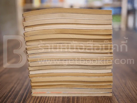 นักสู้คอมพิวเตอร์ 20 เล่มจบ รูปที่ 7