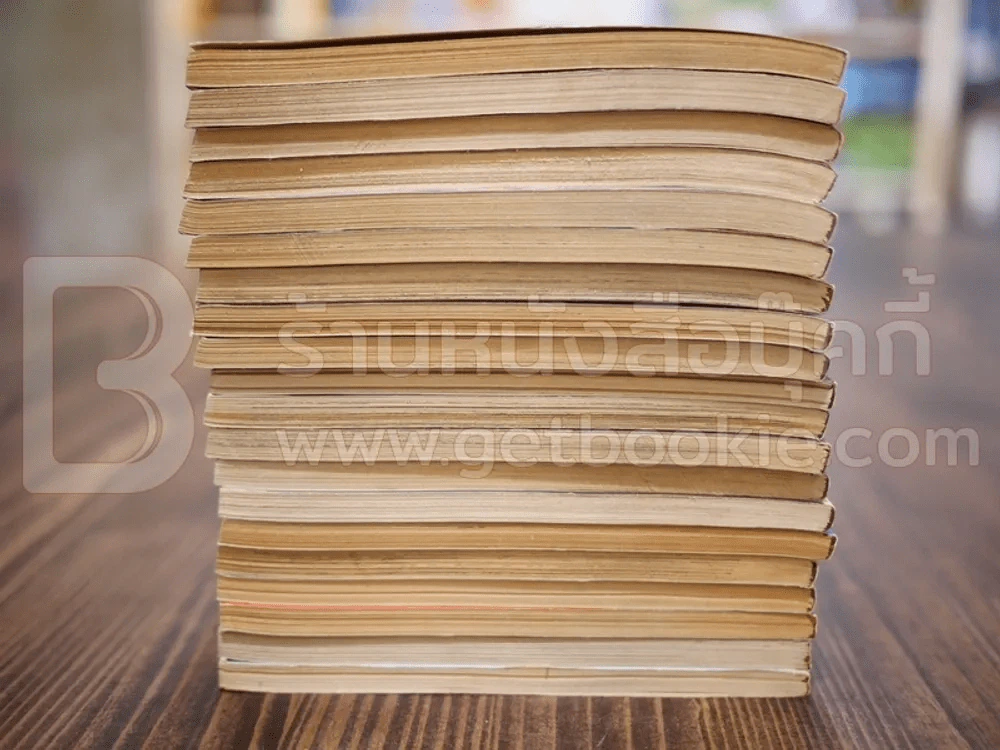นักสู้คอมพิวเตอร์ 20 เล่มจบ รูปที่ 6