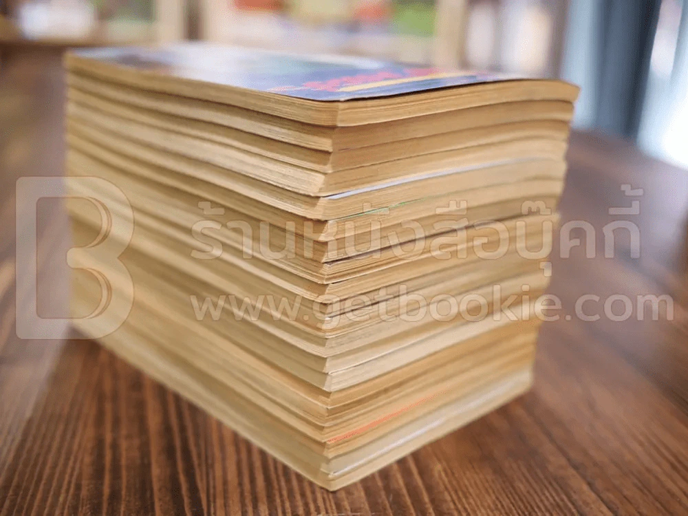 นักสู้คอมพิวเตอร์ 20 เล่มจบ รูปที่ 5