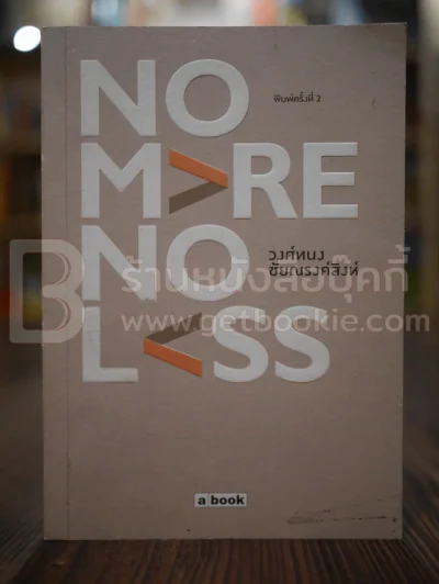 No More No Less - วงศ์ทนง ชัยณรงค์สิงห์ รูปที่ 1