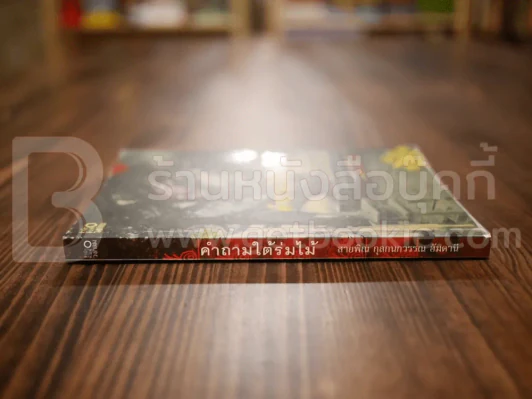 คำถามใต้ร่มไม้ - สายพิณ กุลกนกวรรณ ฮัมดานี รูปที่ 2