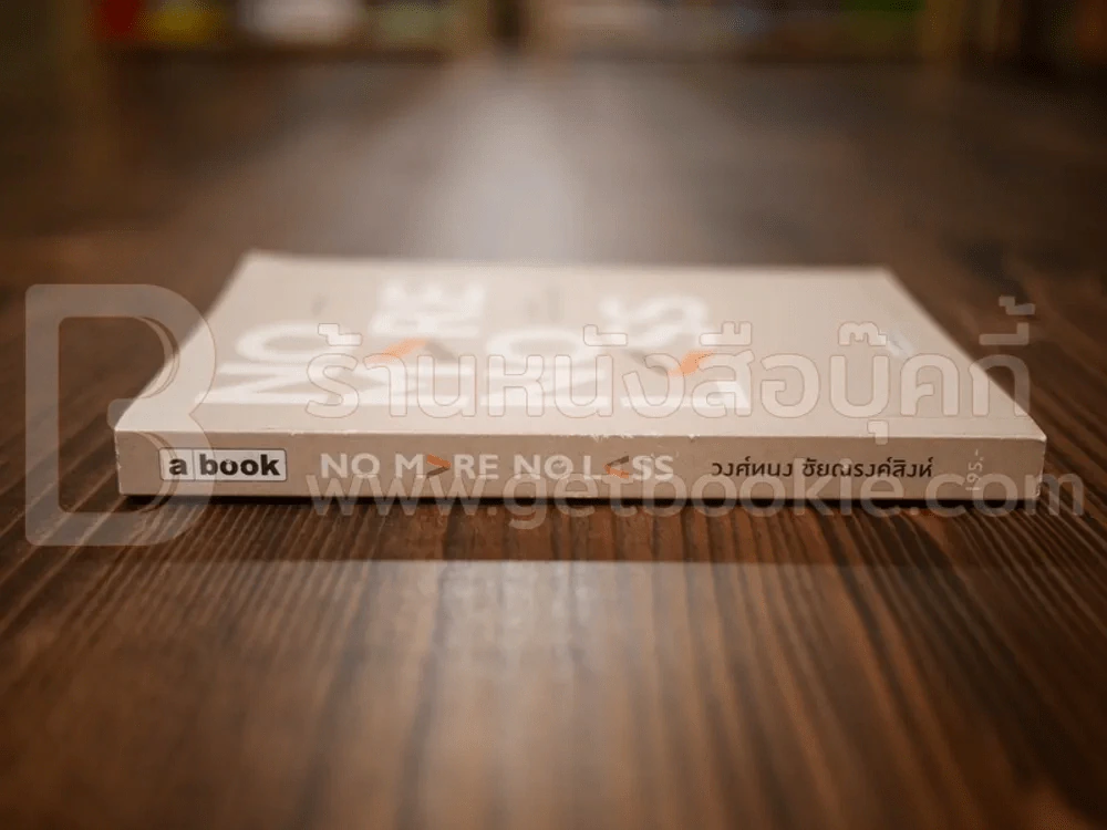 No More No Less - วงศ์ทนง ชัยณรงค์สิงห์ รูปที่ 2