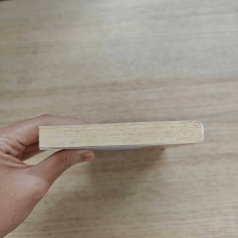 เมื่อฉันหายไปจากโลกใบหนึ่ง - ศิริวร แก้วกาญจน์ รูปที่ 5